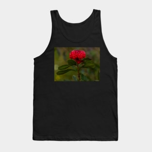 Waratah Tank Top